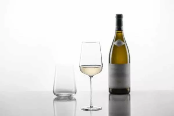 Келих для білого вина Riesling 0,406 л Schott Zwiesel Vervino (121404) - Фото nav 4