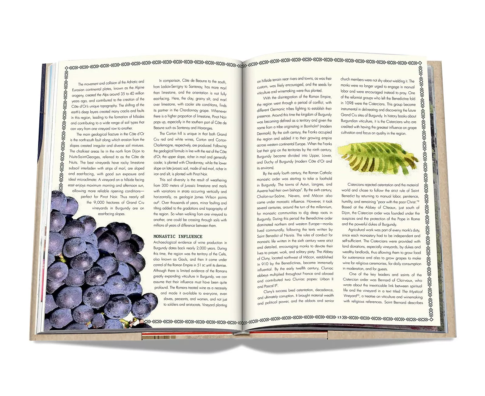 Книга "The 100: Burgundy Exceptional Wines to Build a Dream" Assouline Collection (9781614288084) - Фото nav 2